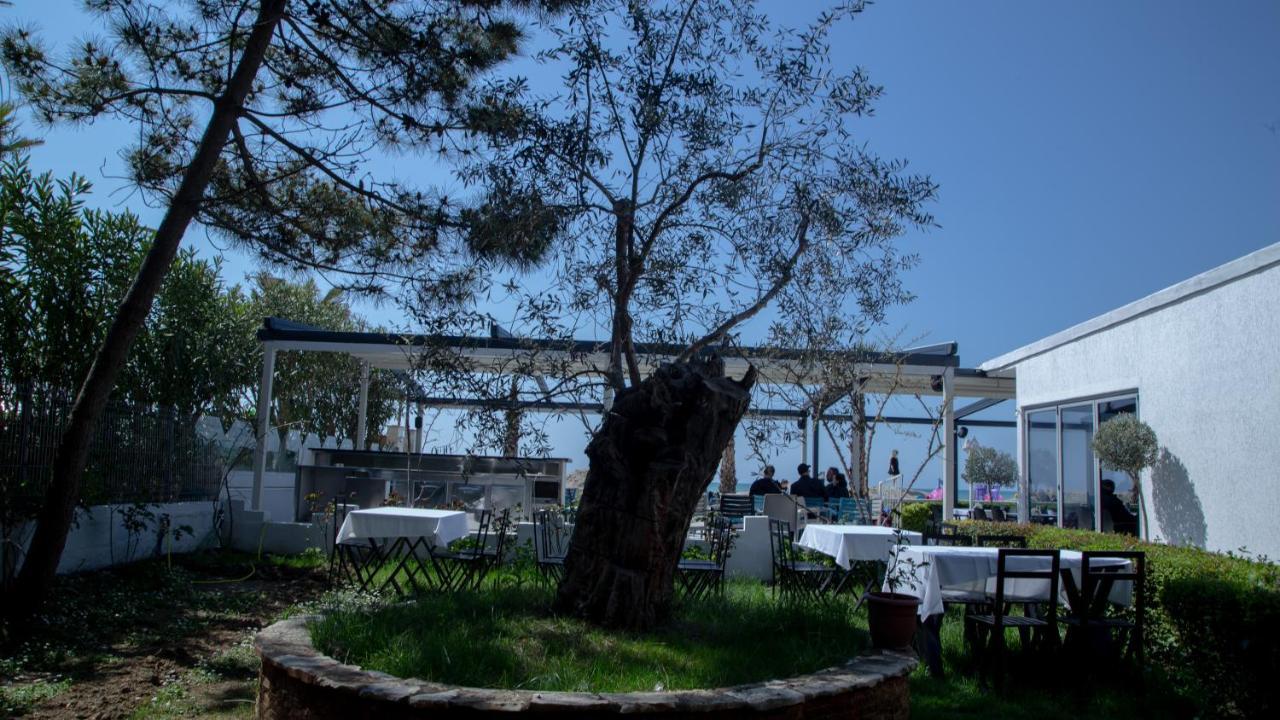 גולם Okej Hotel מראה חיצוני תמונה